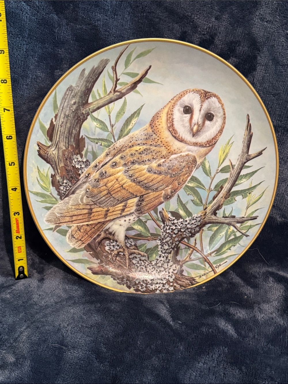 The Barn Owl Collectors Plate by Franklin Porcelain